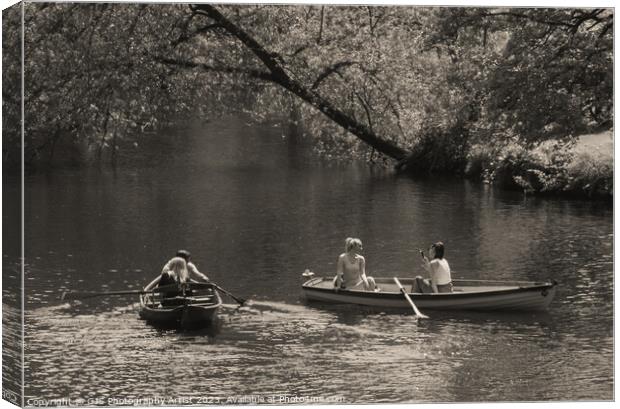 Accidental Inclusion On The Nidd Sepia Canvas Print by GJS Photography Artist