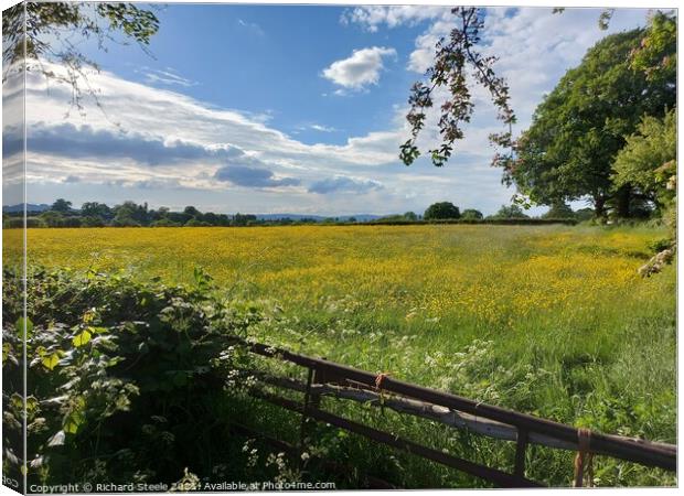 Outdoor field Canvas Print by Richard Steele