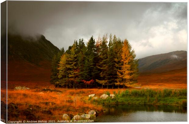 Autumn Vibes Canvas Print by Andrew Bishop