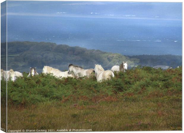 Gower coast landscape white horses Canvas Print by Sharon Cocking
