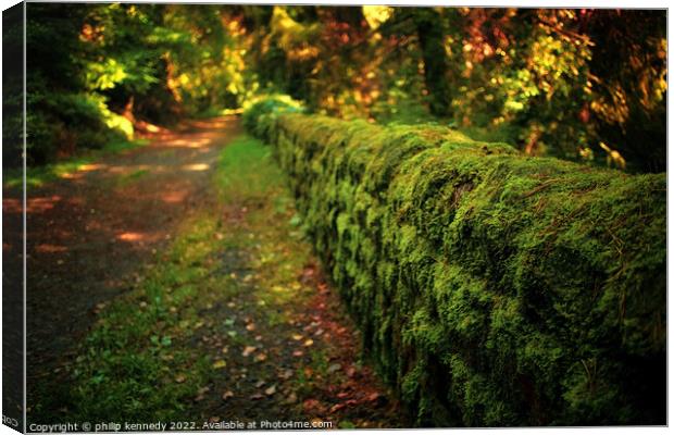 The Wall Canvas Print by philip kennedy