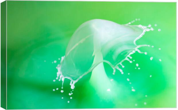 Water Drop Crown Collision Canvas Print by Antonio Ribeiro