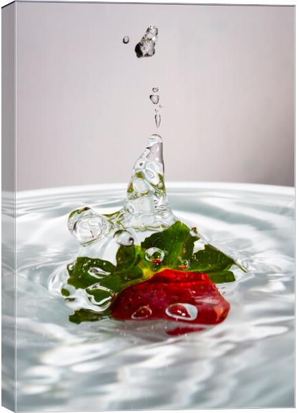 Water Jet After Strawberry Falling Into Water Canvas Print by Antonio Ribeiro