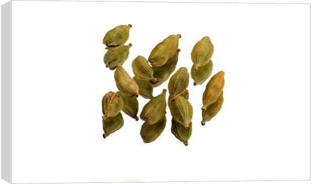 Cardamom Pods Canvas Print by Antonio Ribeiro