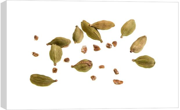 Cardamom Pods and Seeds  Canvas Print by Antonio Ribeiro