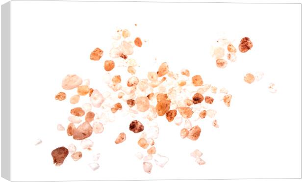 Himalayan Pink Rock Salt Called Halite Canvas Print by Antonio Ribeiro