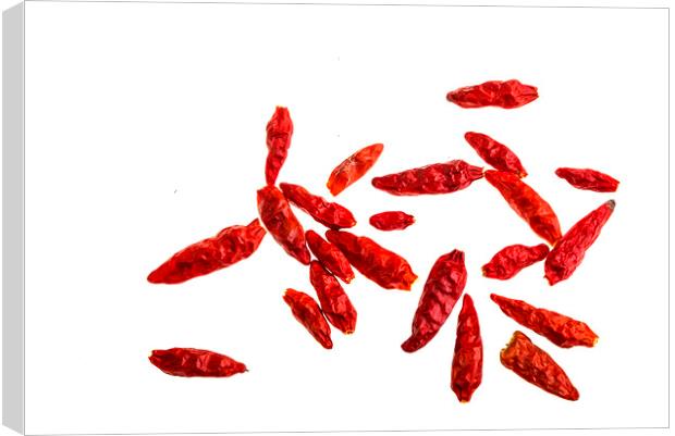 Whole Dried Chilli Peppers Canvas Print by Antonio Ribeiro