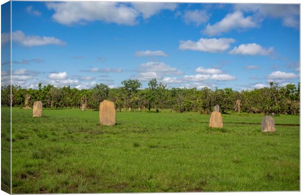Litchfield Magnetic Termite Mounds Canvas Print by Antonio Ribeiro