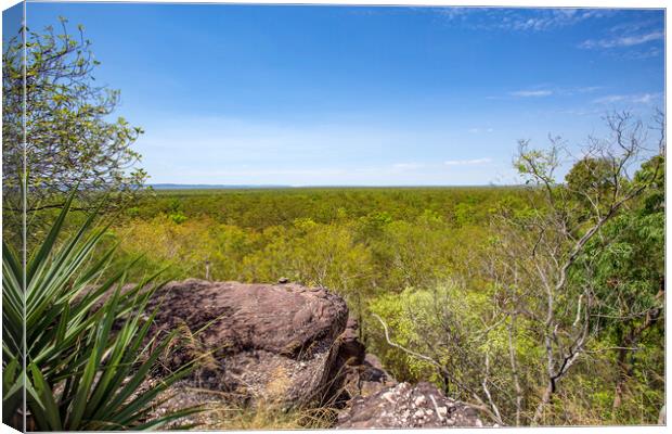 Kakadu Savanna Woodlands from Kunwarddehawarde Lookout Canvas Print by Antonio Ribeiro