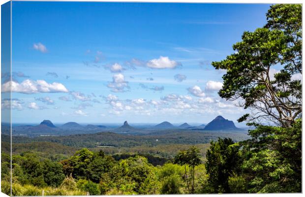 Glass House Mountains seen from Maleny Canvas Print by Antonio Ribeiro