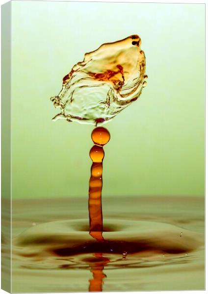 Water Drop Collision Canvas Print by Antonio Ribeiro