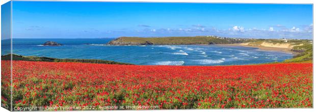 Poppies over the Bay Canvas Print by Geoff Tydeman