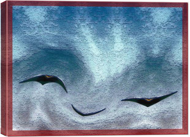 Birds Canvas Print by Ferenc Kalmar