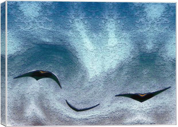 Birds R Canvas Print by Ferenc Kalmar