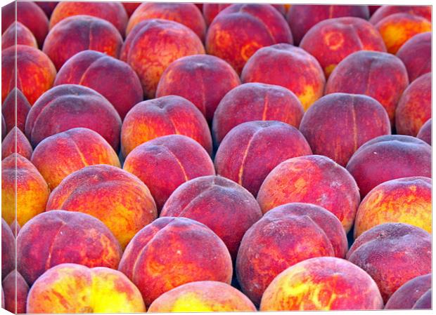 Peaches Canvas Print by Ferenc Kalmar