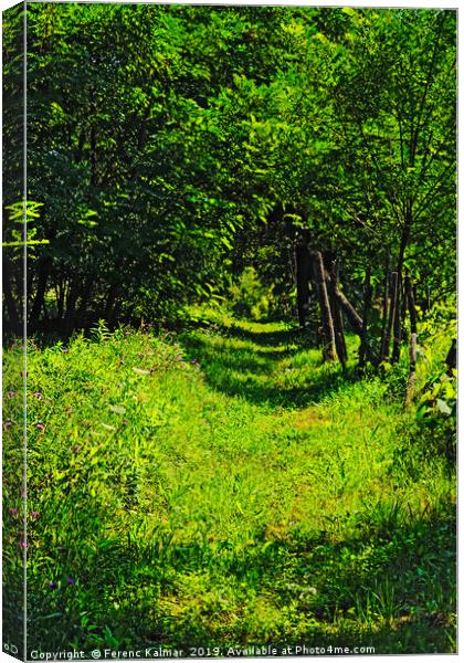 summer corridor Canvas Print by Ferenc Kalmar