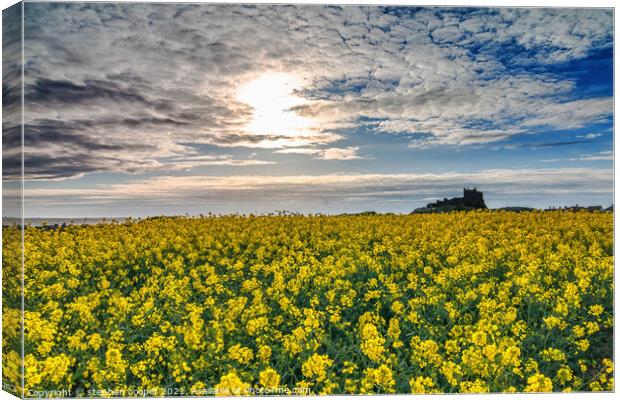 Outdoor field Canvas Print by stephen cooper