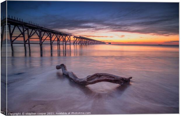 driftwood Canvas Print by stephen cooper