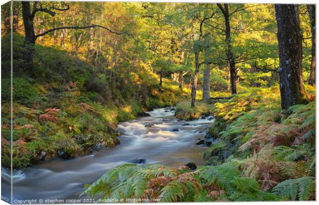 autumn colours Canvas Print by stephen cooper