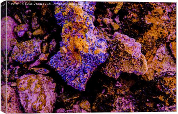 Colourful rocks on the beach Canvas Print by Lucas D'Souza