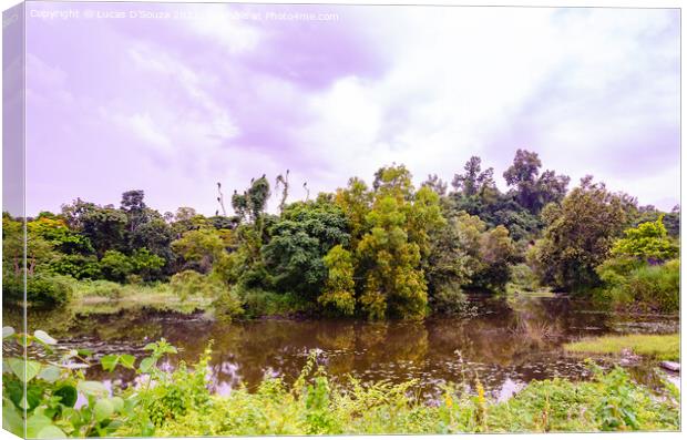 Manjal Paade, Mangalore, India Canvas Print by Lucas D'Souza