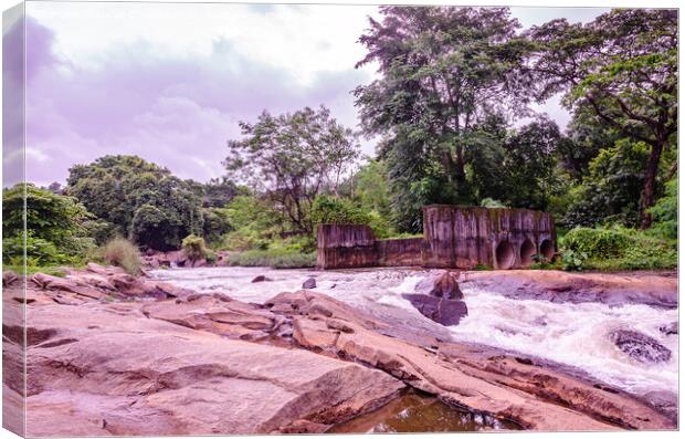 Rocky stream  Canvas Print by Lucas D'Souza