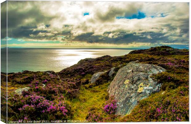 Heather Hills to the Sea Canvas Print by Ivor Bond