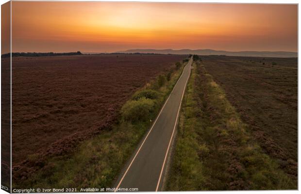 The Road North Canvas Print by Ivor Bond