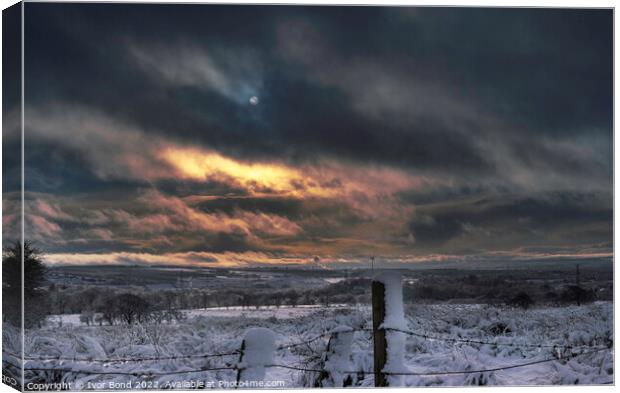 Winter Skies Canvas Print by Ivor Bond