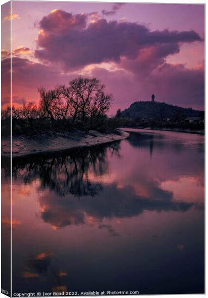 Wallace Monument and River Forth Canvas Print by Ivor Bond