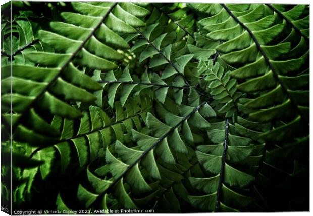 Abstract ferns Canvas Print by Victoria Copley