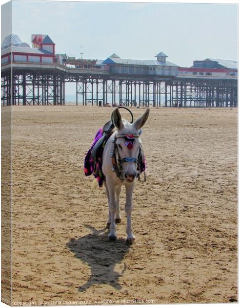 Donkey on Blackpool beach Canvas Print by Victoria Copley