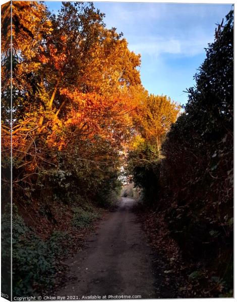 Autumn in Bexhill Canvas Print by Chloe Rye