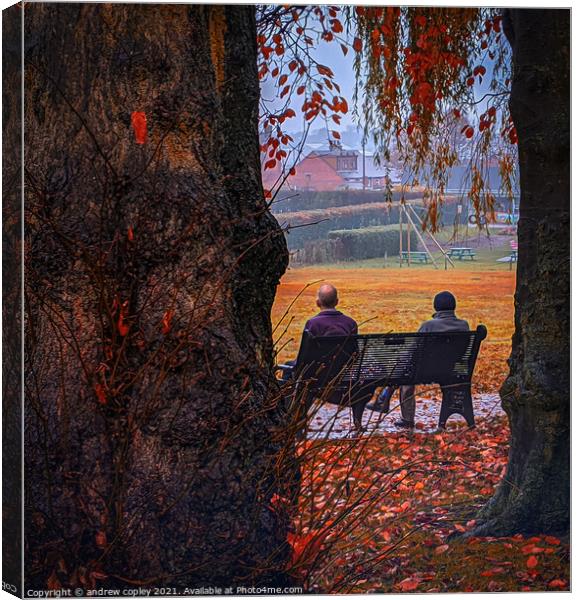 Morning chat in the park Canvas Print by andrew copley