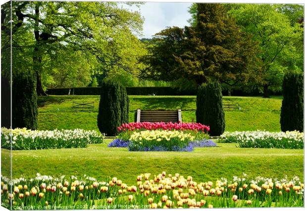 Lyme Park gardens Canvas Print by andrew copley