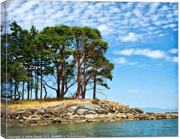 Morning Beach Arbutus Canvas Print by Maria Janicki