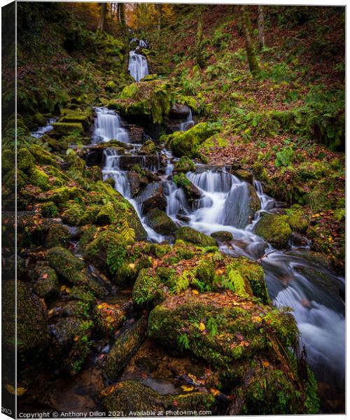 Waterfall In Autumn Canvas Print by Anthony Dillon