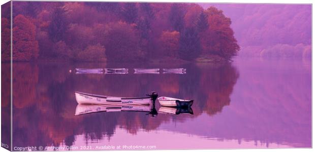Boats On Ladybower.  Canvas Print by Anthony Dillon