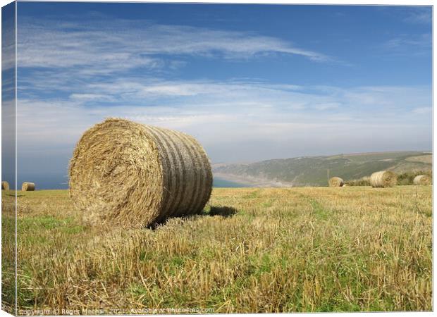 Golden Stubble and Hay Bales Canvas Print by Roger Mechan