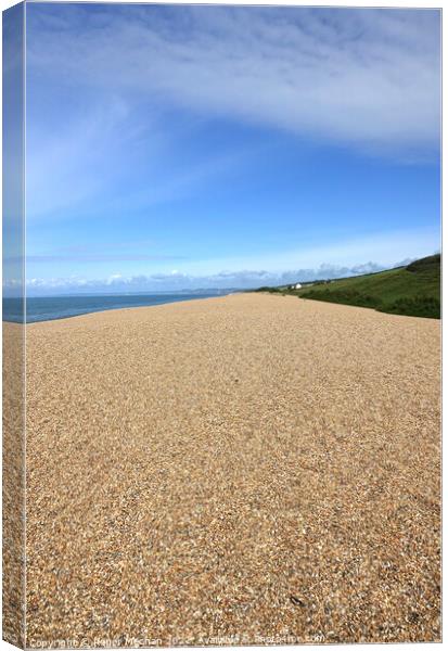 Golden Pebbles and Jurassic Coast Canvas Print by Roger Mechan