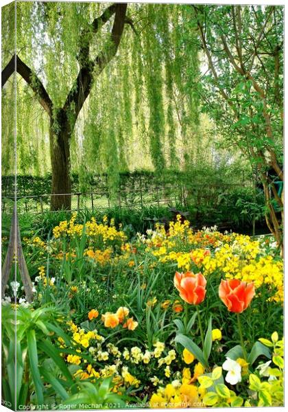 Willow's Garden Tapestry Canvas Print by Roger Mechan