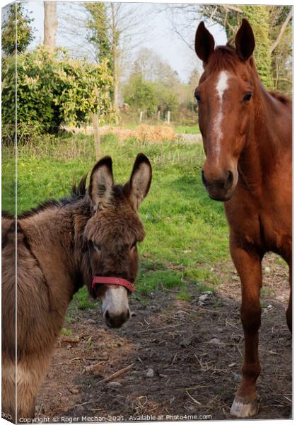 Companions in the Field Canvas Print by Roger Mechan