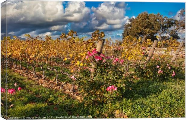 Harvest's Golden Treasures Canvas Print by Roger Mechan