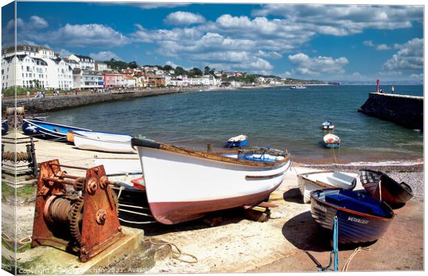 Serenity in Dawlish Harbour Canvas Print by Roger Mechan