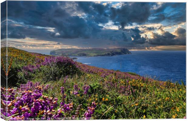 Floral Overlook Canvas Print by Roger Mechan