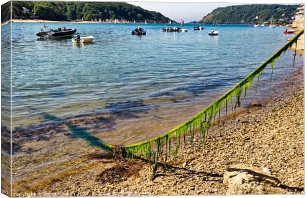 Tranquil Salcombe Estuary Canvas Print by Roger Mechan