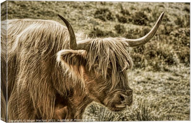 Brown Highland Cow in Abstract Charcoal Canvas Print by Roger Mechan
