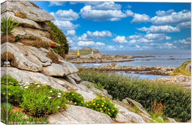 Flowers and Lighthouse Canvas Print by Roger Mechan