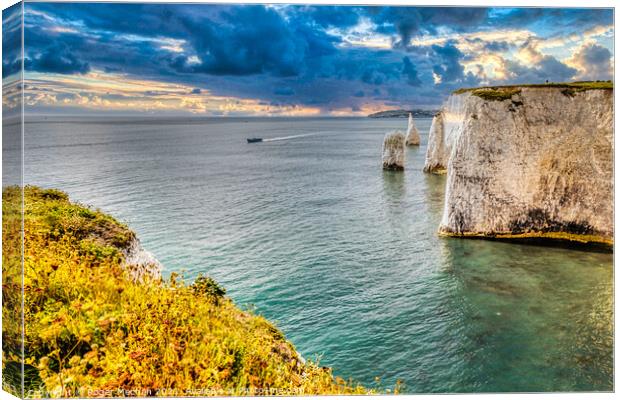 Limestone Stacks Rising From the Sea Canvas Print by Roger Mechan