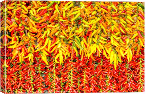 Bright and Spicy Peppers Canvas Print by Roger Mechan
